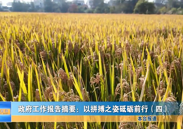 政府工作報(bào)告摘要：以拼搏之姿砥礪前行（四）