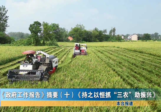 《政府工作報(bào)告》摘要（十）