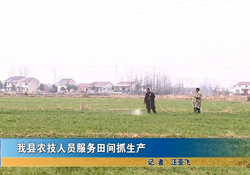 我縣農(nóng)技人員服務(wù)田間抓生產(chǎn)