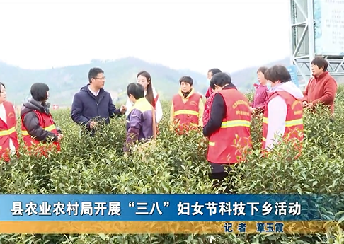 我縣各地舉辦豐富多彩的慶“三八”主題活動(dòng)