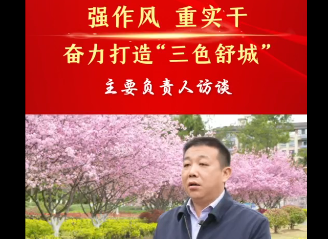 強(qiáng)作風(fēng) 重實(shí)干 奮力打造“三色舒城”— 主要負(fù)責(zé)人訪(fǎng)談（劉會(huì)朝）